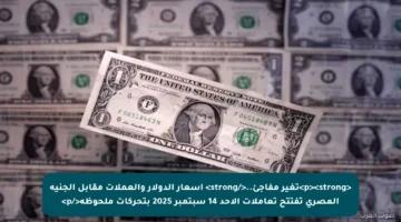 <p><strong>تغير مفاجئ..</strong> أسعار الدولار والعملات مقابل الجنيه المصري تفتتح تعاملات الأحد 14 سبتمبر 2025 بتحركات ملحوظة</p>
